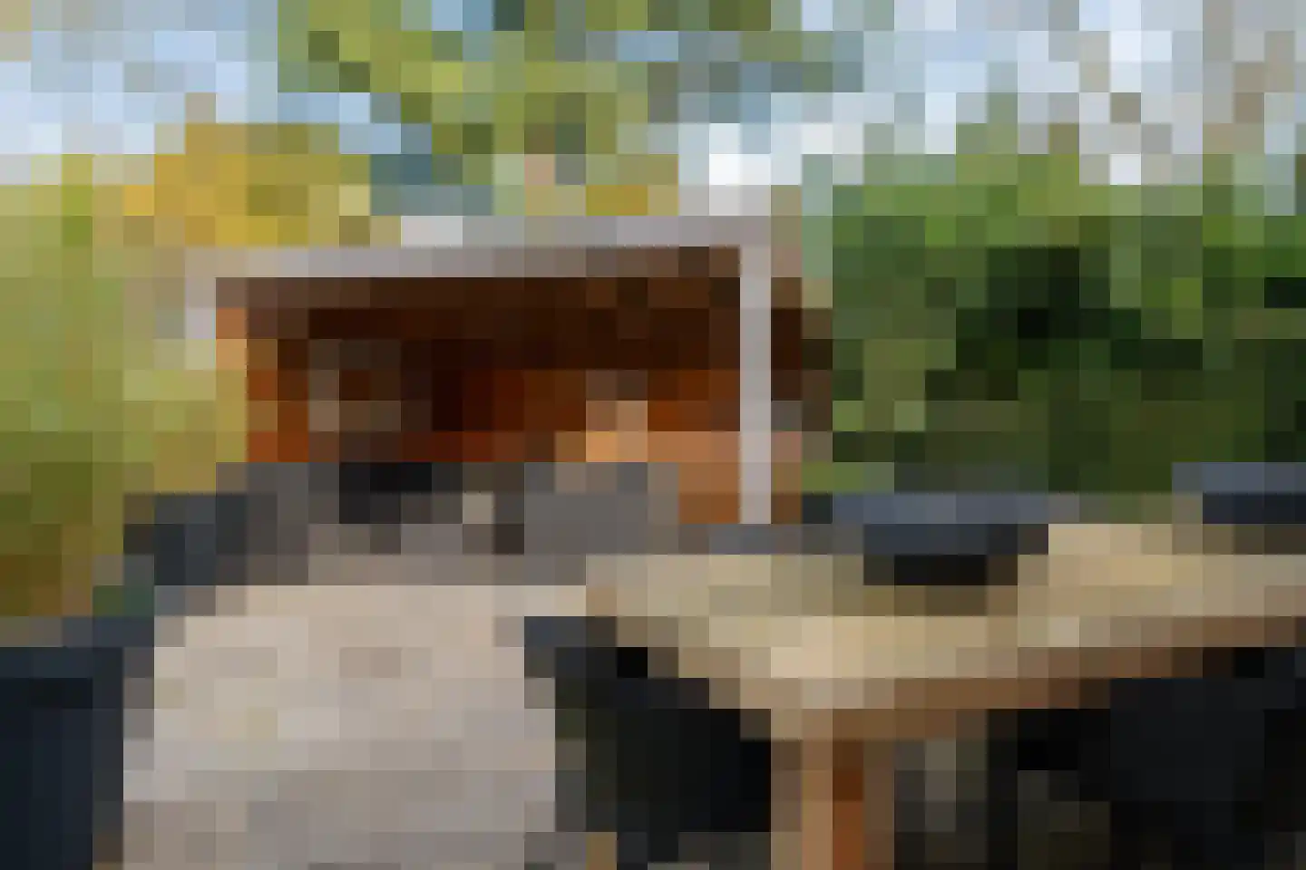 Nassaukade 11 a Schoonhoven thumbnail 63