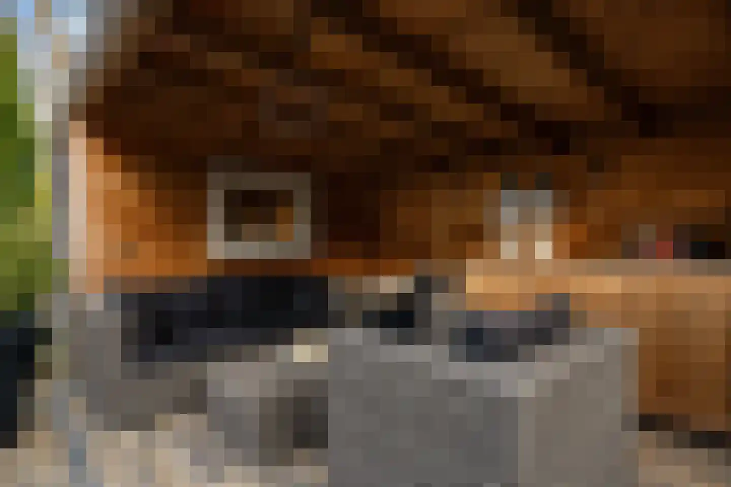 Nassaukade 11 a Schoonhoven thumbnail 64