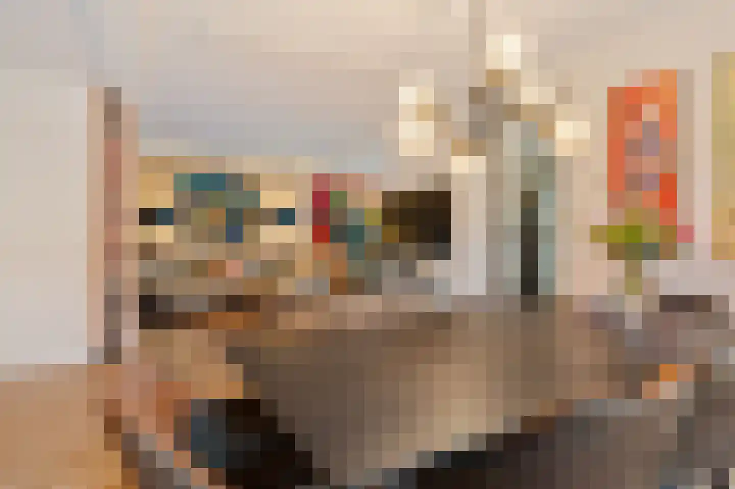 Nassaukade 11 a Schoonhoven thumbnail 69