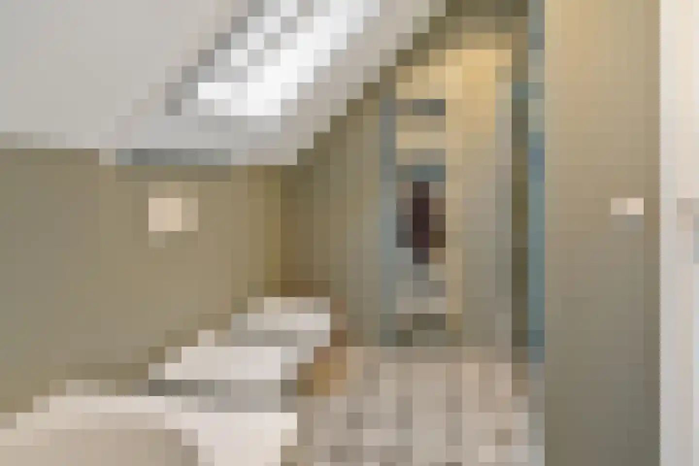 Nassaukade 11 a Schoonhoven thumbnail 81