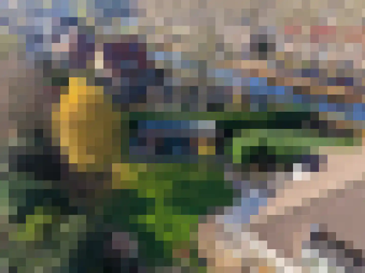 Nassaukade 11 a Schoonhoven thumbnail 93