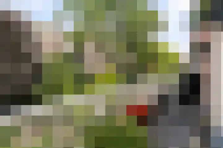 Nassaukade 113 2 Amsterdam thumbnail 23