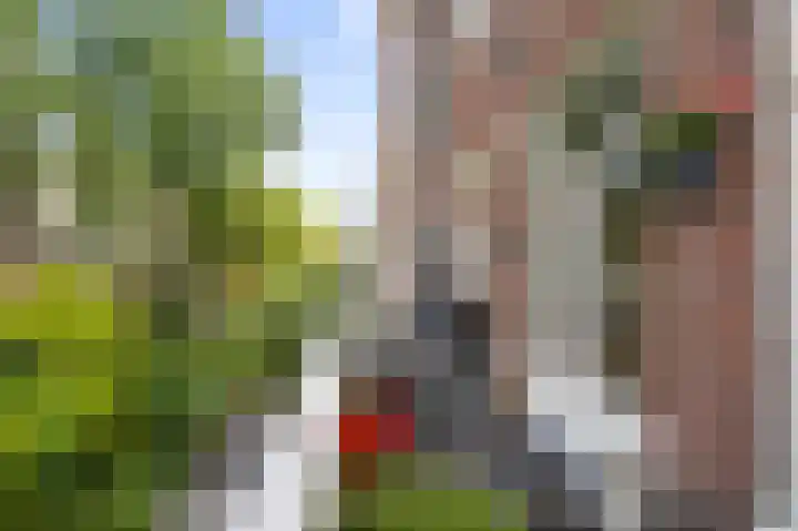 Nassaukade 113 2 Amsterdam thumbnail 24