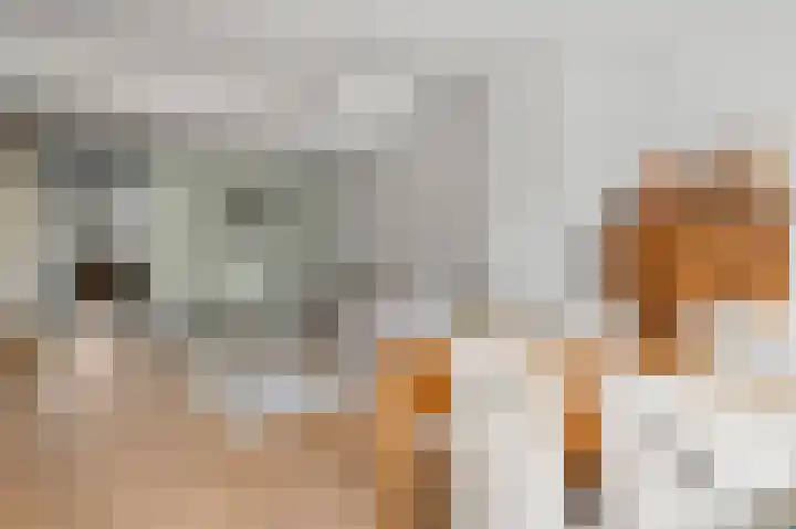 Nassaukade 113 2 Amsterdam thumbnail 9