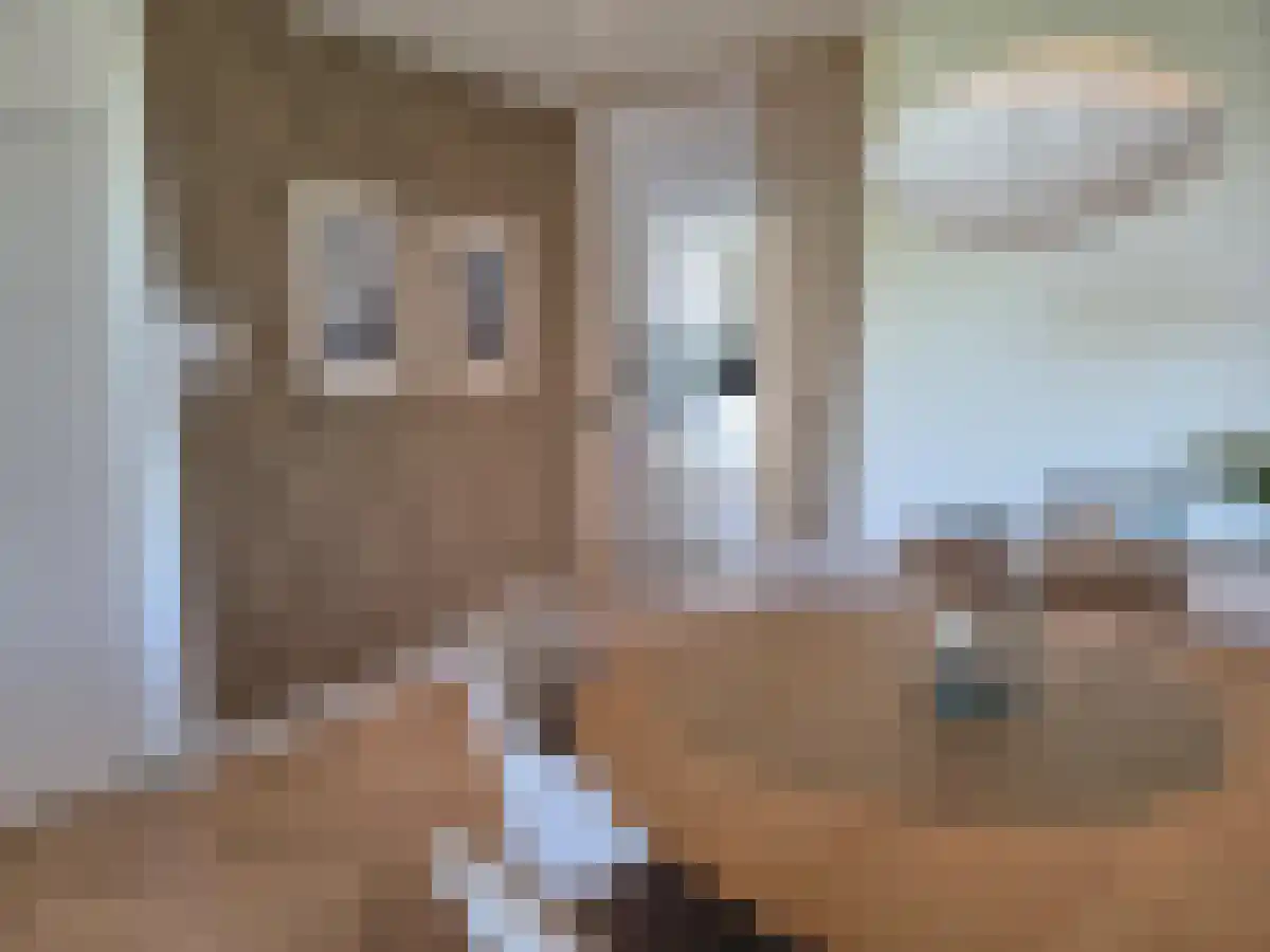 Nassaukade 116 Amsterdam thumbnail 6