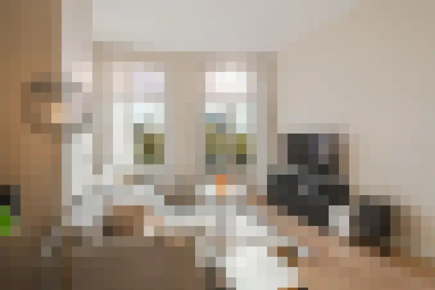 Nassaukade 138 3 Amsterdam thumbnail 13