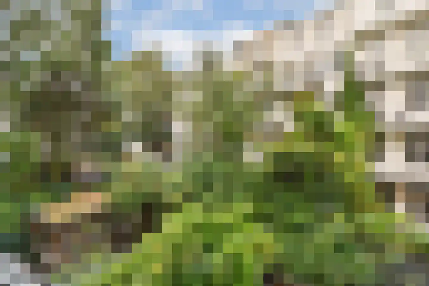 Nassaukade 146 1A Amsterdam thumbnail 9