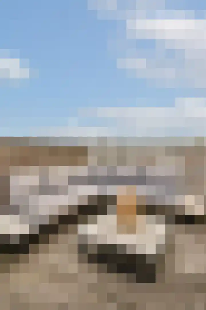 Nassaukade 146 4 Amsterdam thumbnail 12