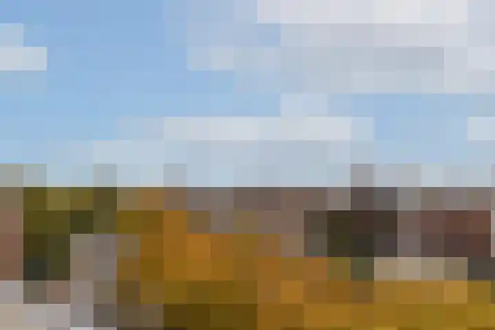 Nassaukade 146 4 Amsterdam thumbnail 14