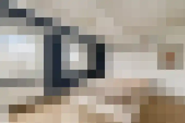 Nassaukade 146 4 Amsterdam thumbnail 16