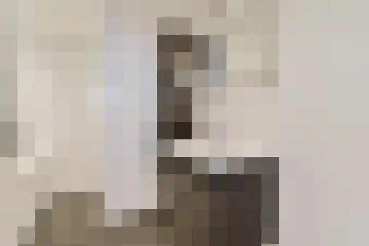 Nassaukade 146 4 Amsterdam thumbnail 18