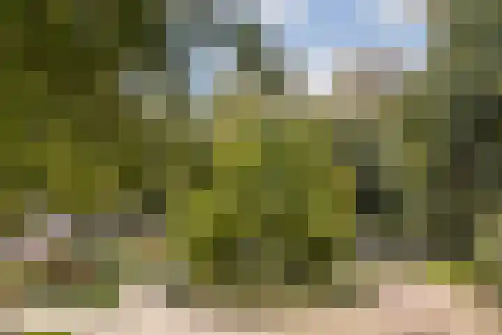 Nassaukade 146 4 Amsterdam thumbnail 25