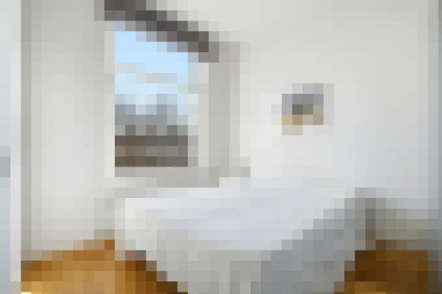 Nassaukade 147 D Amsterdam thumbnail 24
