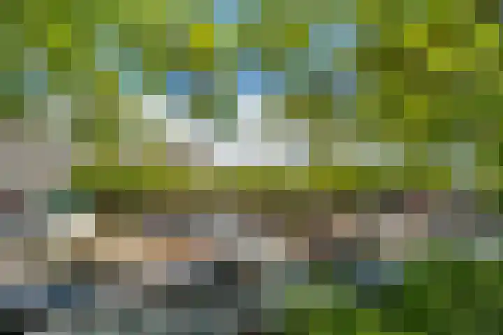 Nassaukade 147 G Amsterdam thumbnail 17