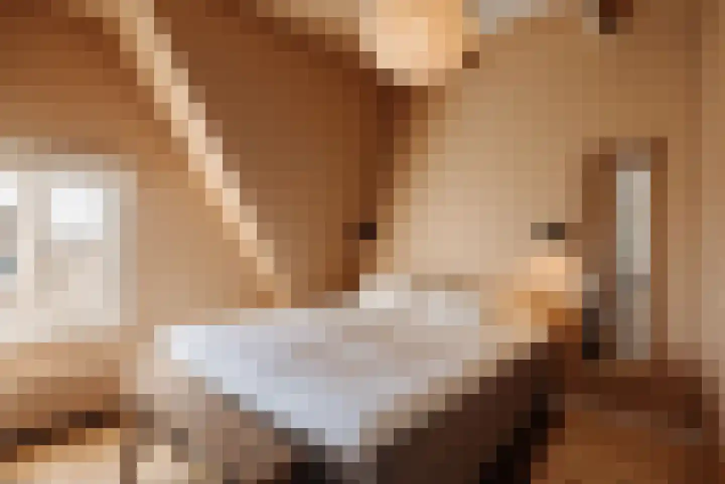 Nassaukade 147 H Amsterdam thumbnail 11