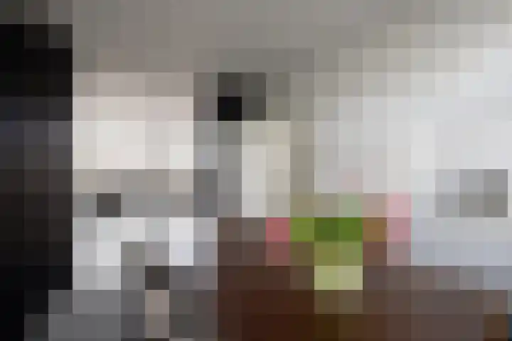 Nassaukade 149 2 Amsterdam thumbnail 12