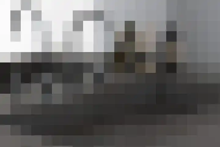 Nassaukade 149 2 Amsterdam thumbnail 28