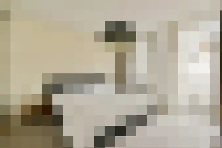 Nassaukade 15 1 Amsterdam thumbnail 17