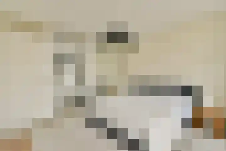 Nassaukade 15 1 Amsterdam thumbnail 18