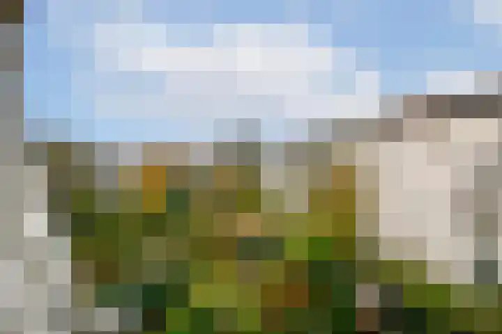 Nassaukade 15 1 Amsterdam thumbnail 21
