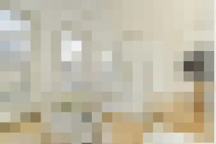Nassaukade 15 1 Amsterdam thumbnail 7