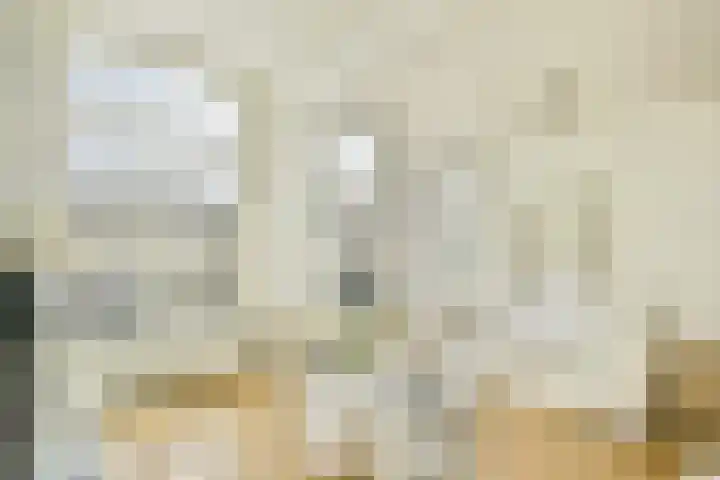 Nassaukade 15 1 Amsterdam thumbnail 8