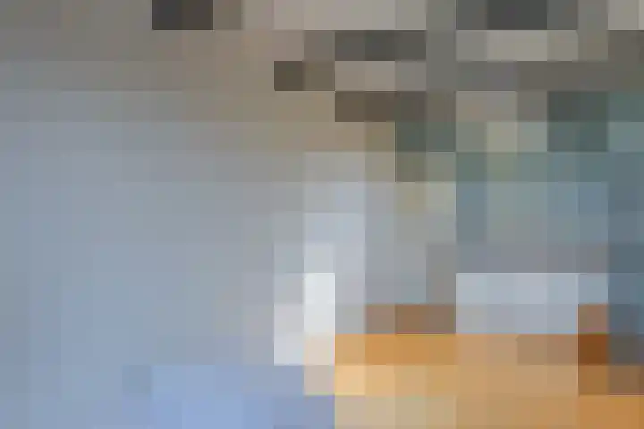 Nassaukade 150 H Amsterdam thumbnail 19