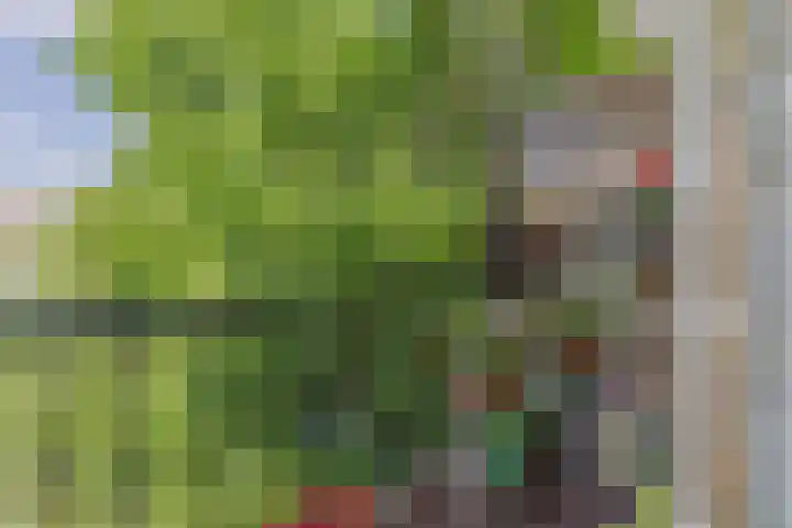 Nassaukade 150 H Amsterdam thumbnail 23