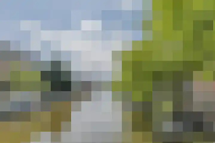 Nassaukade 150 H Amsterdam thumbnail 31
