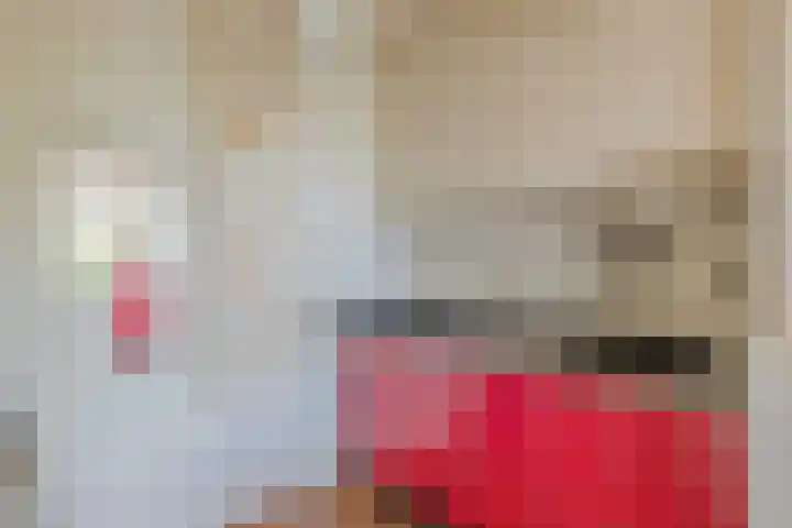 Nassaukade 150 H Amsterdam thumbnail 8