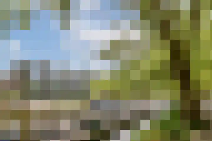 Nassaukade 153 E Amsterdam thumbnail 17