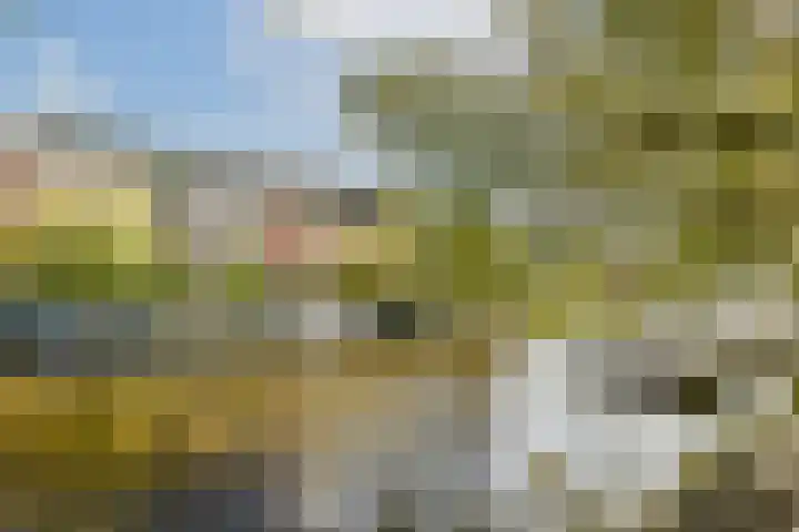 Nassaukade 153 E Amsterdam thumbnail 18