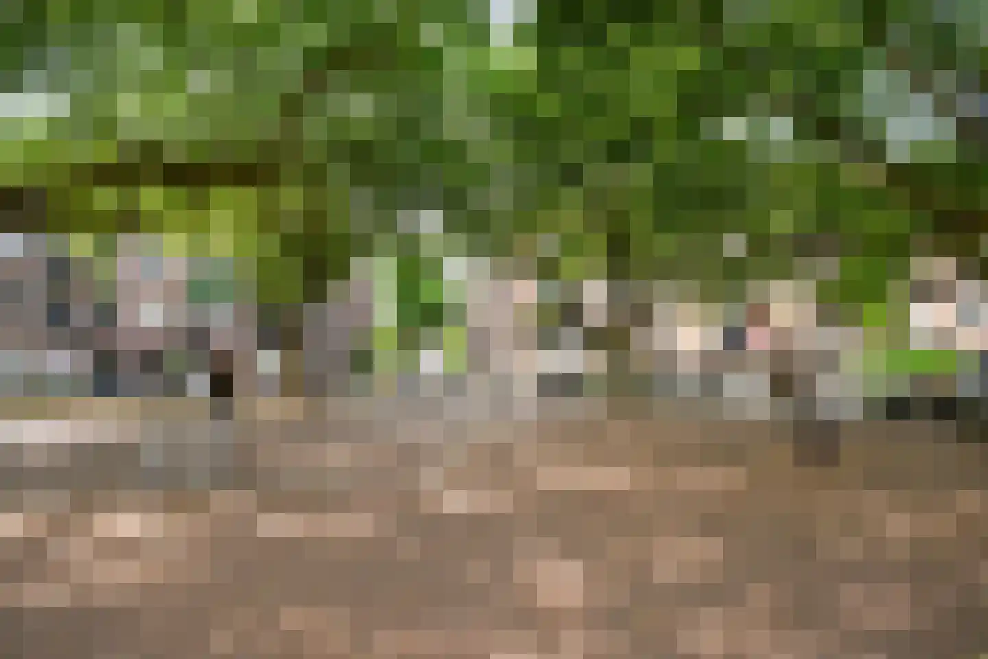 Nassaukade 153 E Amsterdam thumbnail 20