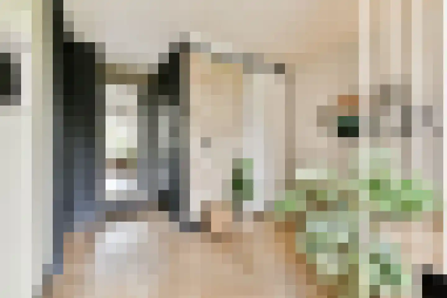 Nassaukade 153 E Amsterdam thumbnail 8