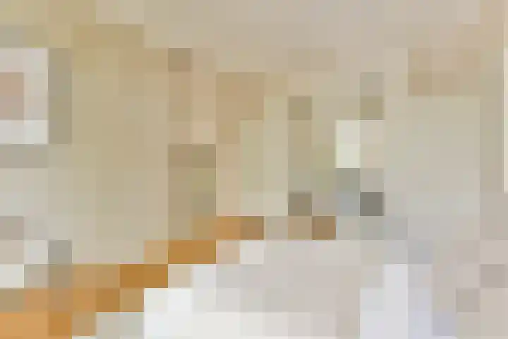 Nassaukade 154 H Amsterdam thumbnail 12
