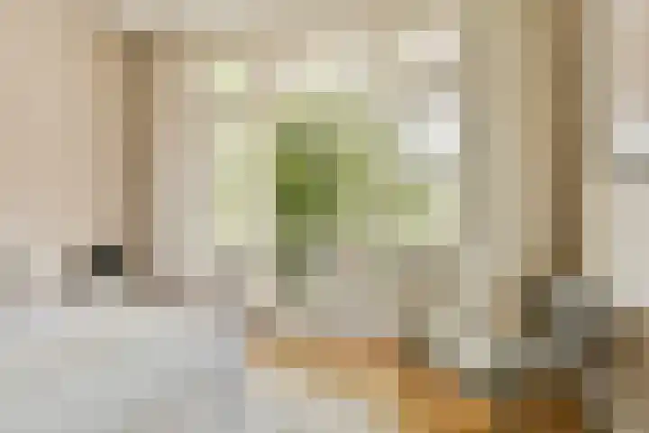 Nassaukade 154 H Amsterdam thumbnail 14