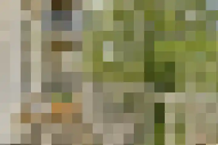 Nassaukade 154 H Amsterdam thumbnail 15