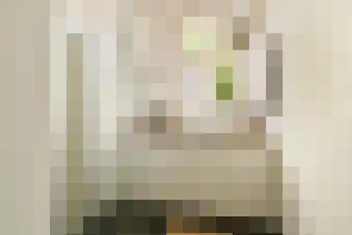 Nassaukade 154 H Amsterdam thumbnail 18