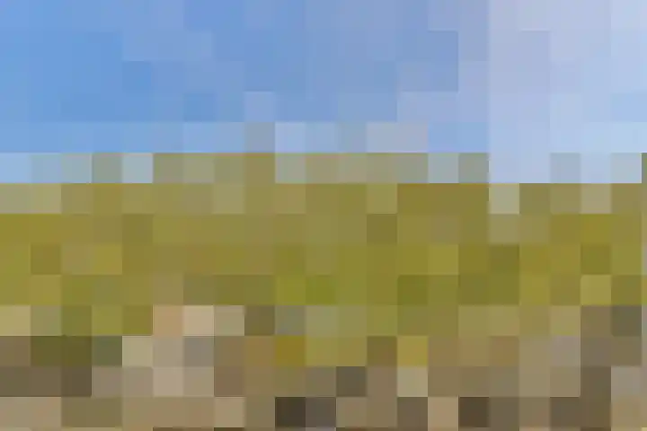 Nassaukade 154 H Amsterdam thumbnail 7