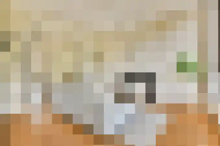 Nassaukade 154 H Amsterdam thumbnail 8