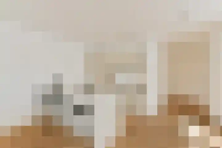 Nassaukade 159 4 Amsterdam thumbnail 7
