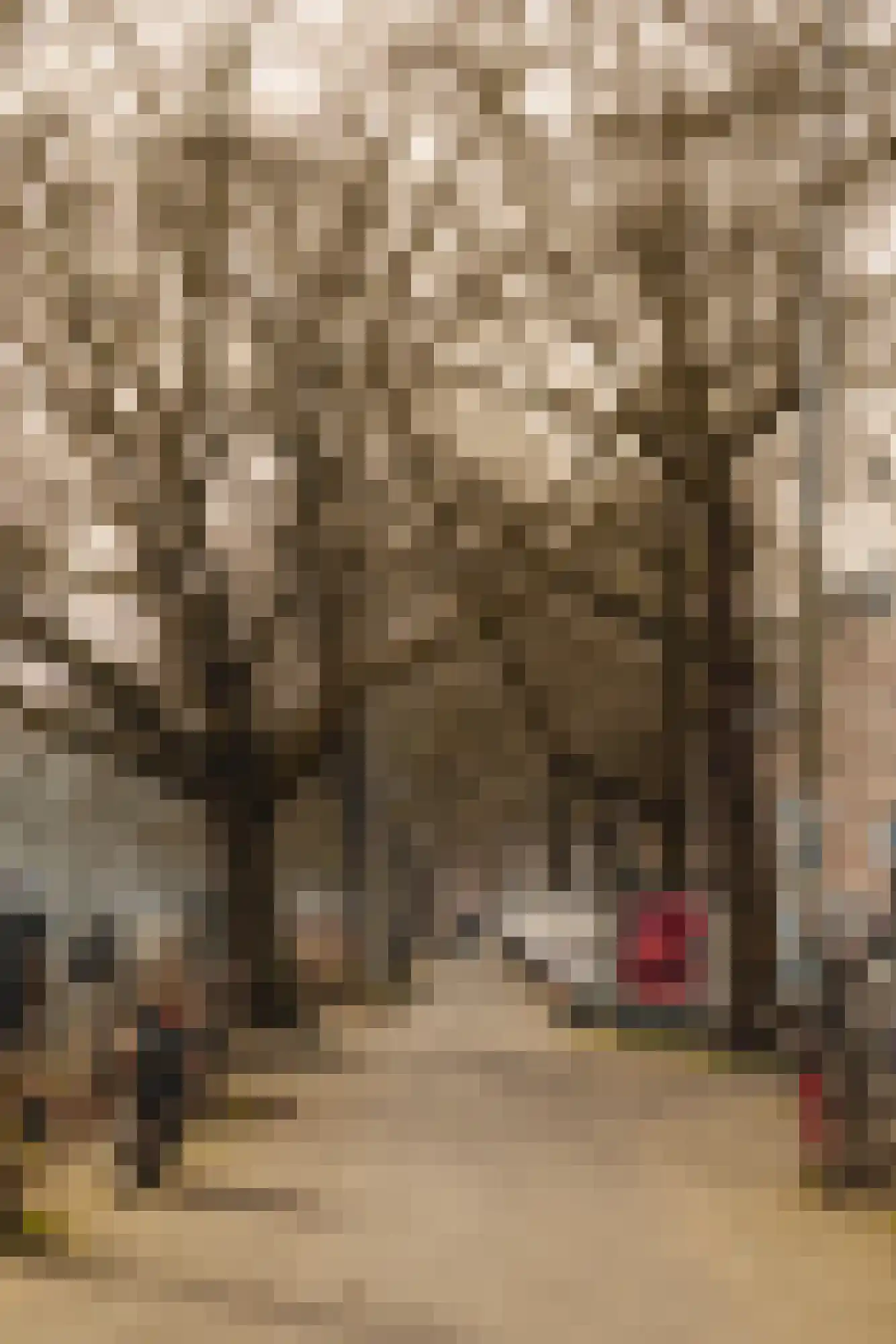 Nassaukade 161 A Amsterdam thumbnail 40