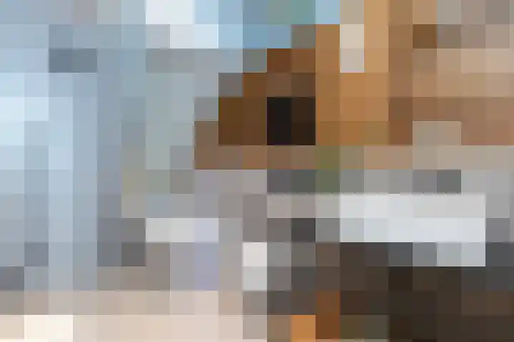 Nassaukade 165 3 Amsterdam thumbnail 20