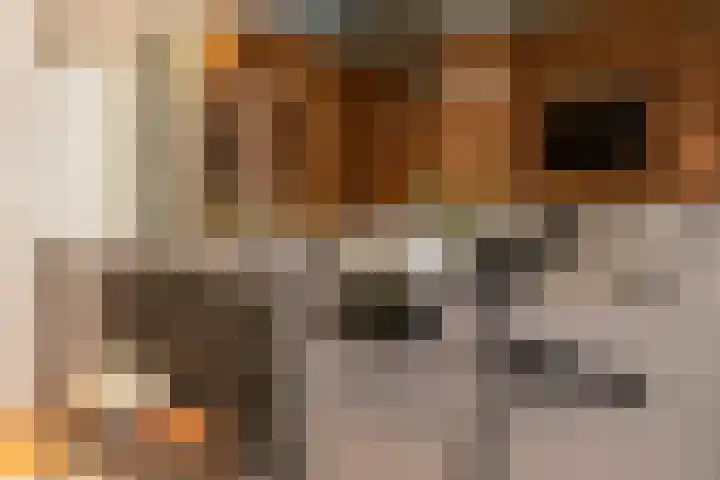 Nassaukade 165 3 Amsterdam thumbnail 22