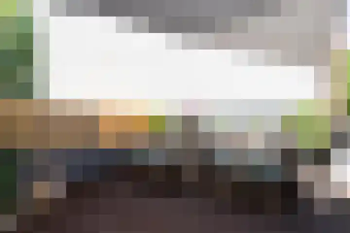 Nassaukade 165 3 Amsterdam thumbnail 27