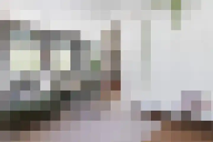 Nassaukade 165 3 Amsterdam thumbnail 9