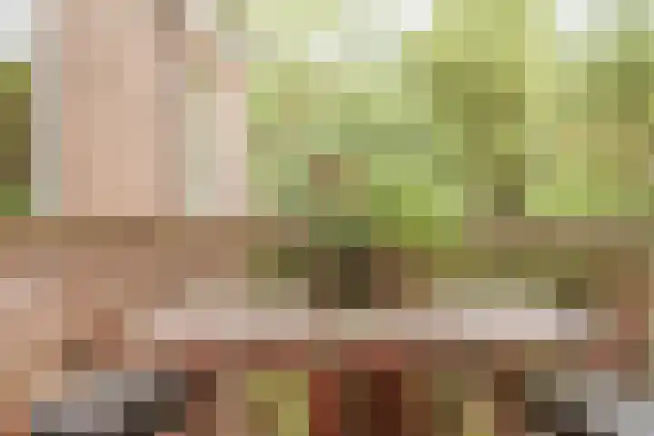 Nassaukade 173 2 Amsterdam thumbnail 16