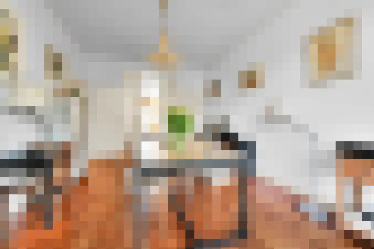 Nassaukade 18 Rijswijk thumbnail 16