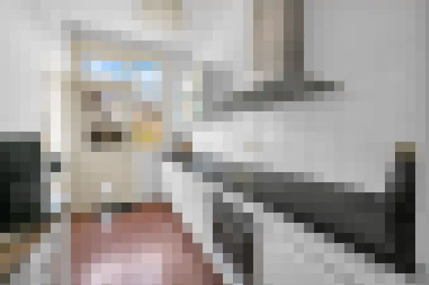 Nassaukade 18 Rijswijk thumbnail 17