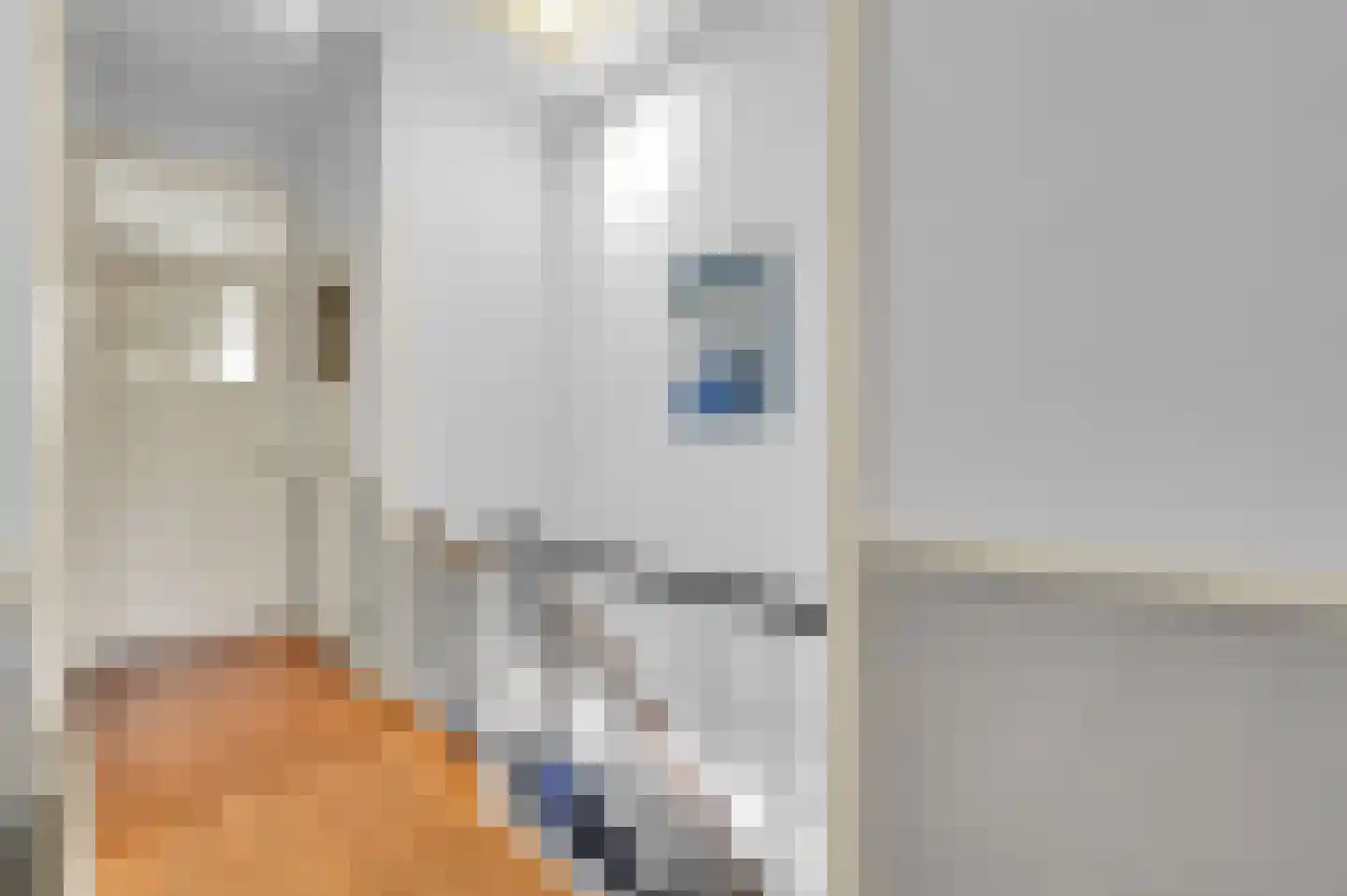 Nassaukade 18 Rijswijk thumbnail 23